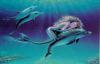 Meerjungfrau mit Delfin