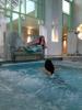 Shooting Limestherme in Aalen