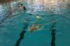 Schwimm-Übungen