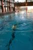 Schwimm-Übungen