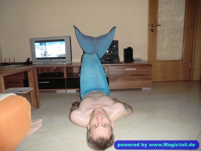Meine erste Flosse:..-Sharkmen