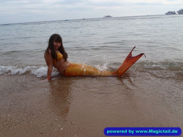 MermaidJulia:i mermaid -JuliaMermaid