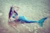 1. Fotowettbewerbe / Photo contests :: Kim Isabender