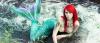 10. Woche FB Contest :: Stephanie Meier