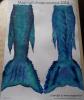 Design Contest 2014 :: Midnight Ocean