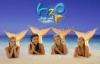 H2O :: H2O