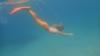 Meermaiding Cavalino :: Deep Water Meermaiding