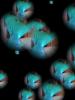 Meine Flosse (Bildbearbeitung) :: Bubbles