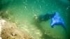 Merman Swimstevie :: Sommer-Tauchgang an einem Unterwasser-Steilhang