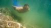 Merman Swimstevie :: Sommer-Tauchgang an einem Unterwasser-Steilhang