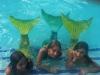 My friends and I :: MERMAIDS ARE AWESOME