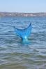 My Mermaid Tail <3 :) :: Marina splash.