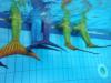 Wie sehen die Farben unterwasser aus! Teil 2