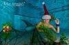 Mermaid Moja at Christmas