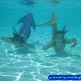 Komm, schwimm mit mir!