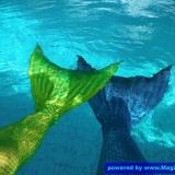 Wie die Farben im Wasser wirken!!!