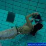 Shirtsuche unterwasser