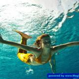 im wasser 