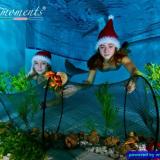 Two mermaids at Christmas