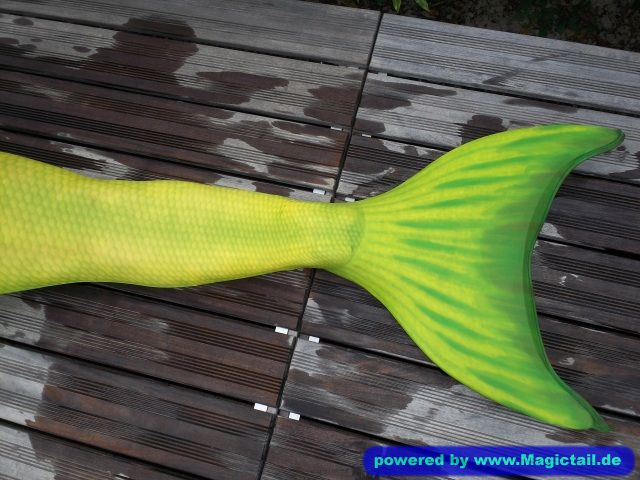 blue and green mermaid tail :-):first green tail pic :-)-Koralle98