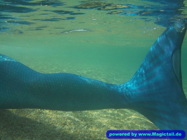 blue and green mermaid tail :-):Meer-Maid ☺-Koralle98