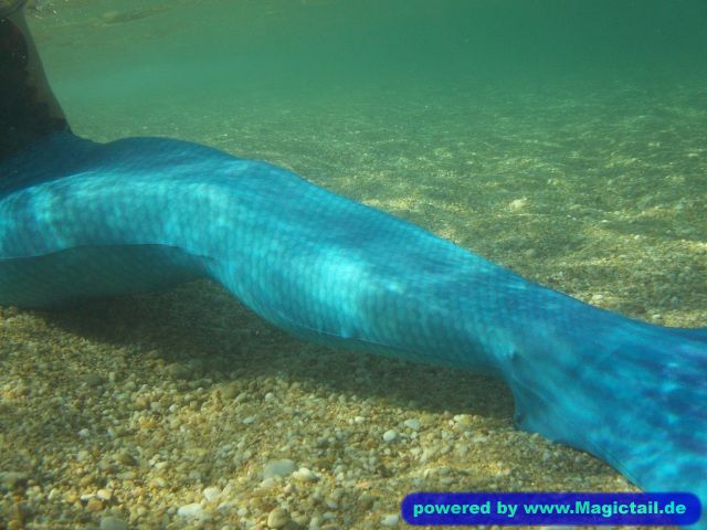 blue and green mermaid tail :-):Yes! :)-Koralle98
