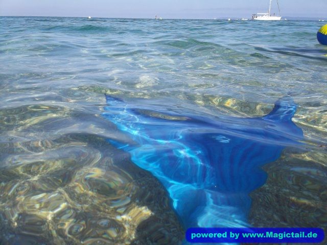blue and green mermaid tail :-):blaue Flosse im Meer-Koralle98