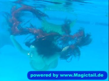 The 3 Tails:mermaid in seaweed-jackiesky