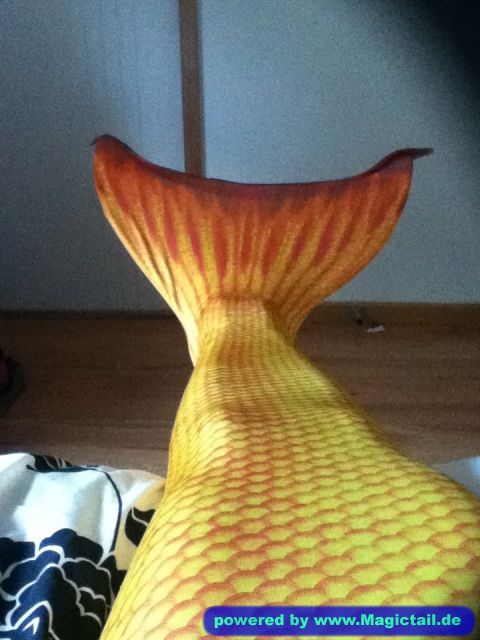 My awesome new Tail:picture 3-jamiigirl