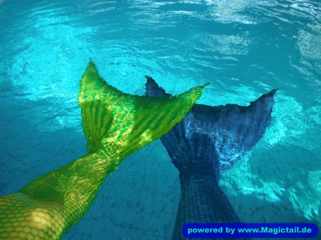 Farben unterwasser:Wie die Farben im Wasser wirken!!!-Meerjungfrauen-Club