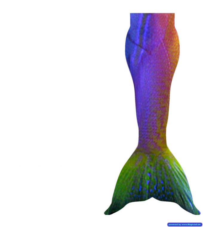 Design Contest 2014:Aurelius Fish-Magictail GmbH